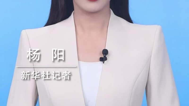 金融大数据分析工程师培训：构建未来金融科技人才的基石