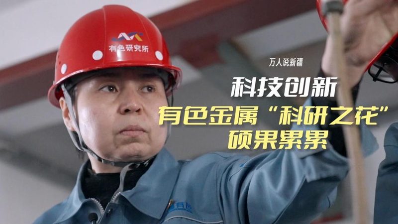 揭秘数据服务公司：十大品牌背后的实力与选择